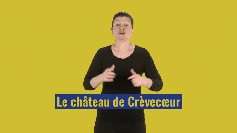 Capture d'écran d'un vidéoguide en LSF